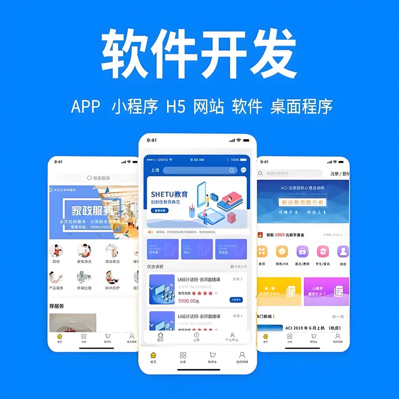 软件开发定制:把握未来科技脉搏